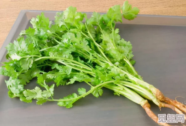 榴莲秋葵绿巨人www苹果下，带你领略独特美食与健康生活的完美结合，开启味蕾新体验！