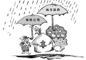 火季来临：气候变化加剧，森林防火工作亟需加强以应对即将到来的高风险期