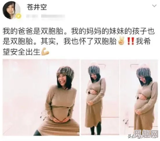 《王者荣耀》中苍英雄的职业定位与玩法特色全面介绍