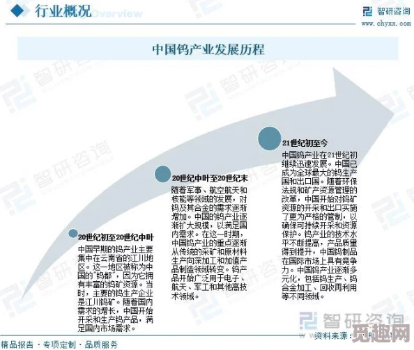 国产砖码2024：新技术应用与市场前景分析，推动行业转型升级的关键因素探讨