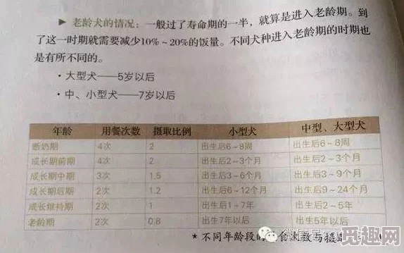 人狗胶配方大全高清1080p：深入理解各种配方的制作与应用技巧