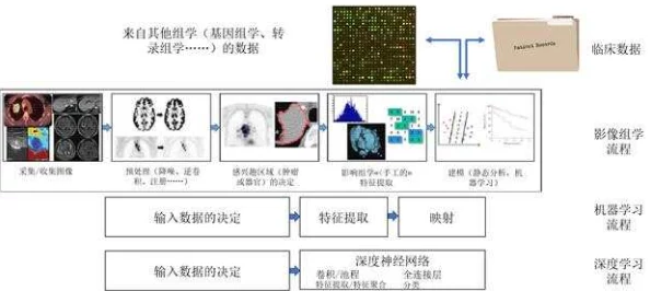 hlw155.ccm：基于深度学习的图像识别技术在医疗影像分析中的应用与发展研究