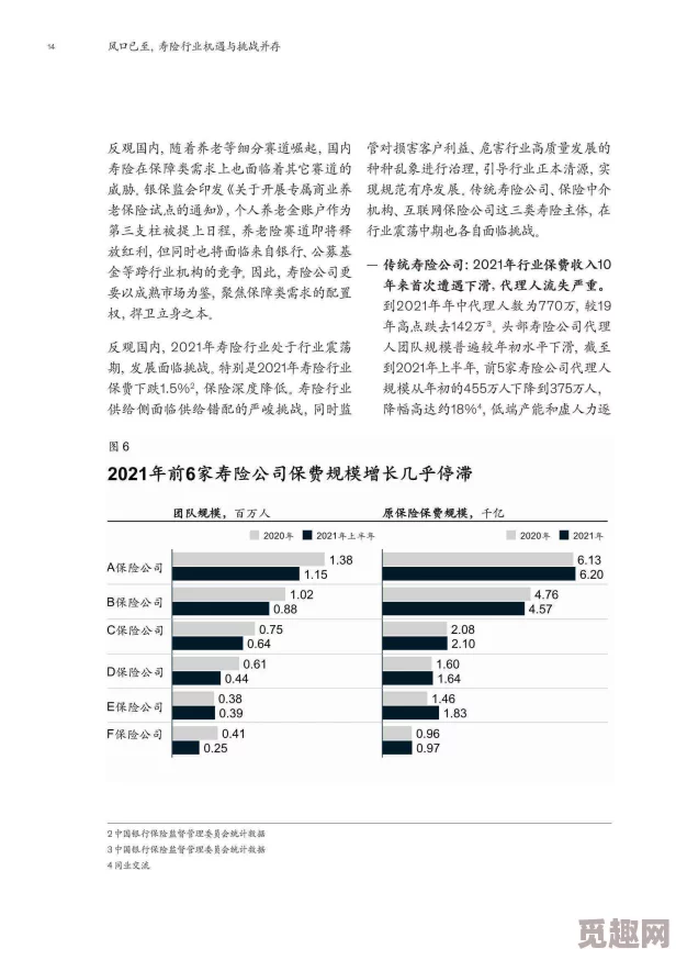 avtt国产：最新动态揭示了其在国内市场的崛起与未来发展趋势，值得关注的行业变化与机遇分析