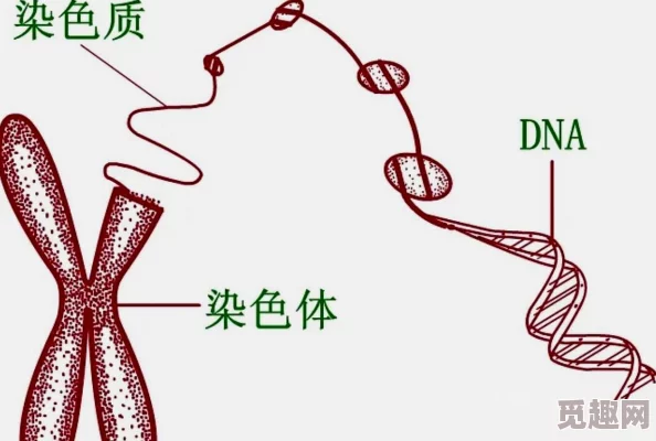 丰满的岳：探讨女性在现代社会中如何平衡家庭责任与个人追求，展现她们的多重角色和内心世界