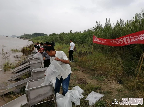 窝蝌蚪是一个释放蝌蚪的地方，数千只蝌蚪齐聚水域，生态保护行动引发广泛关注与参与！