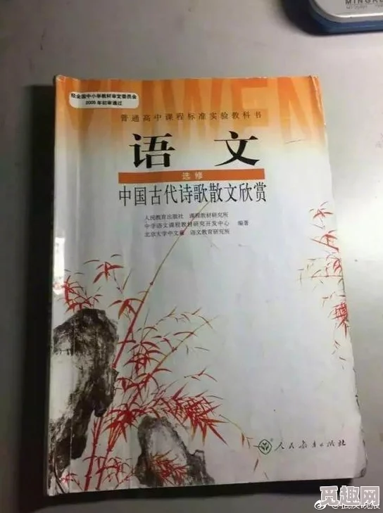 亚色黄网最新动态：平台内容更新频繁，用户互动显著增加，吸引更多年轻群体关注与参与