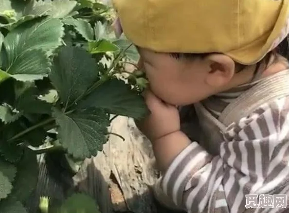 迈开腿让我吃一下你的小草莓网友纷纷表示这句话调侃意味十足有些人觉得幽默而有趣也有人认为过于露骨引发争议