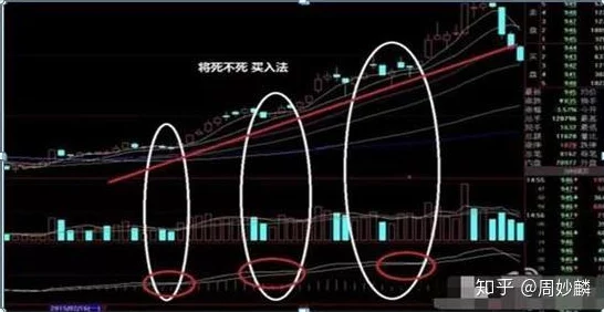 全面解析：独特异色边缘异化体卡组的深度策略与高效攻略