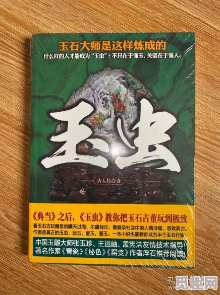 双性污小说：这本书的情节设定很有趣，但部分内容确实让人感到不适