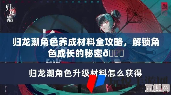 高效掌握归龙潮技能材料获取方法，全面解锁强力角色成长路径