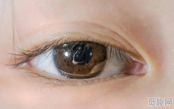 国产精品九九久久一区hh近日引发热议 网友纷纷猜测其背后隐藏的秘密与故事 让我们一起揭开这层神秘面纱