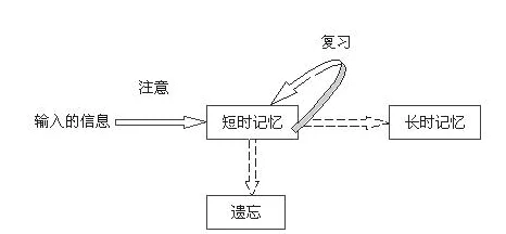 网友热议：防御塔保护机制生效时长，究竟几分钟最为合理？