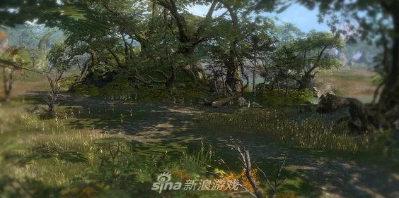 传奇永恒玩家热议:高效攻略揭秘,如何顺利前往沃玛森林探险之旅 传奇永恒玩家热议:高效攻略揭秘,如何顺利前往沃玛森林探险之旅