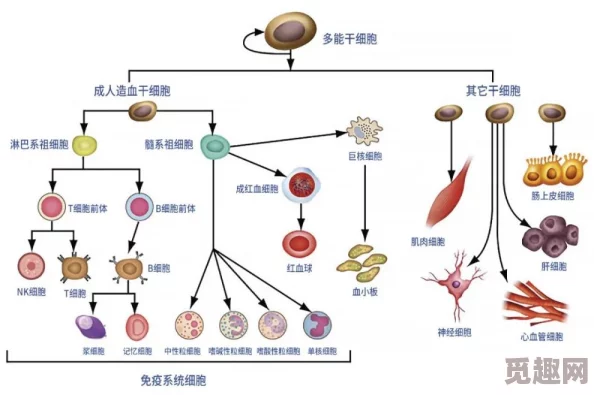 细胞分裂6：遭遇联机失败？玩家必看攻略，网友热议解决方案！