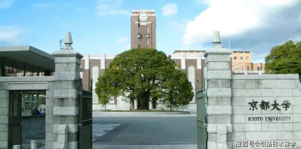 日本一级毛片免费大学