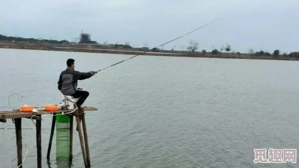 【明日之后】真正的钓鱼高手，从不空军：网友热议其精湛钓技与满载而归的传奇