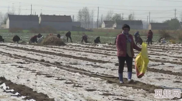 草莓桃子香蕉秋葵绿巨人全面回忆让我们珍惜当下每一刻，勇敢追求梦想与幸福