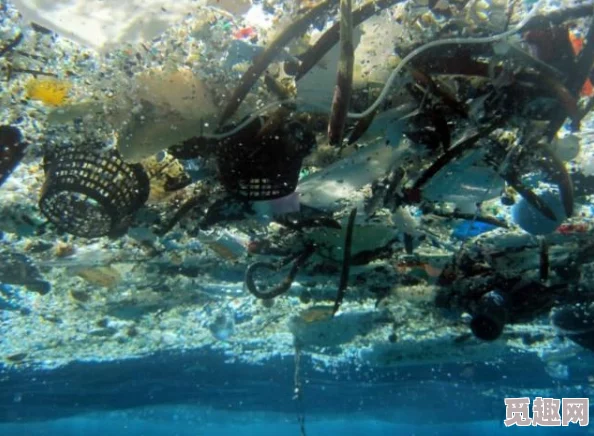 中国一级黄近日在某海域发现新种海洋生物引发科学界关注