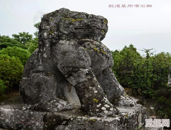 新雾里人生小说免费阅读相信自己每一天都是新的开始勇敢追梦成就未来