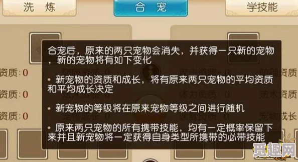 我叫MT3宝宝合成秘籍：常用方法与技巧大公开，更有惊喜合成率提升秘诀分享！