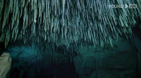 浪色海底世界奇幻冒险之旅全新地图开启神秘海域等你探索