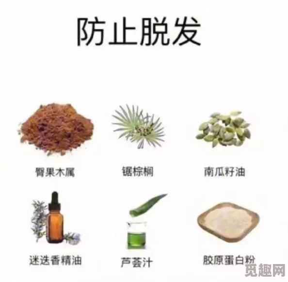 肥肥的小草的作品据说作者最近沉迷养生开始研究草药学了