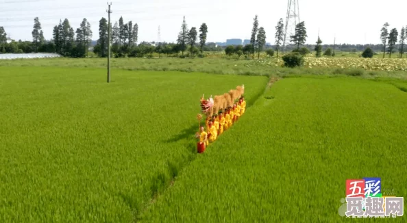 草草浮力影院提供精彩影片传递积极能量感受光影魅力