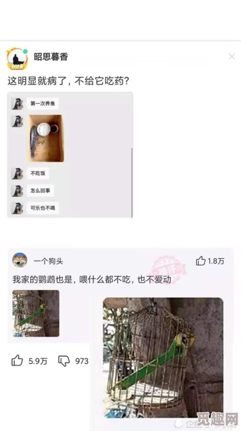 男人j捅进女人p网友称画面尺度过大令人不适