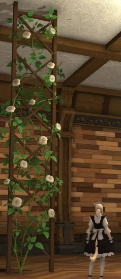 2025年热门解读：FF14家具预览功能全面介绍及庭具预览新体验