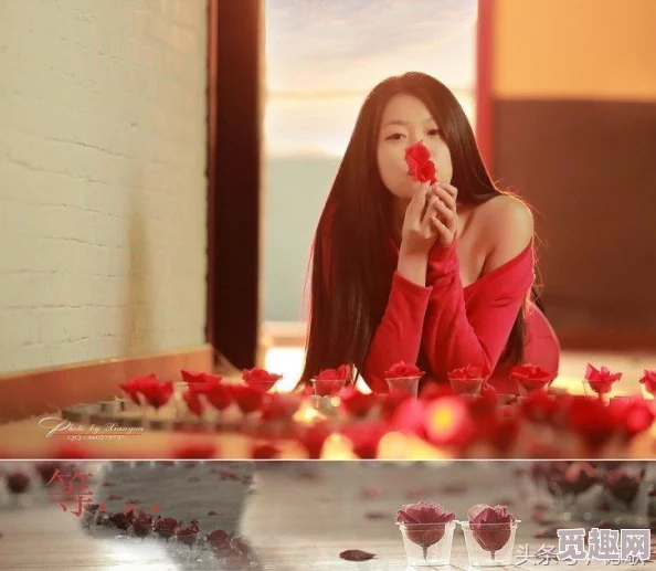 2025游戏攻略：空洞骑士最新路线解析，如何快速到达热门探索地泪水之城位置