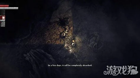 2025热门游戏解析：阴暗森林全攻略秘籍与最新玩法专区指南