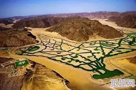 2025年最新月球农场种植技术全攻略秘籍_高效管理月球农场专区指南