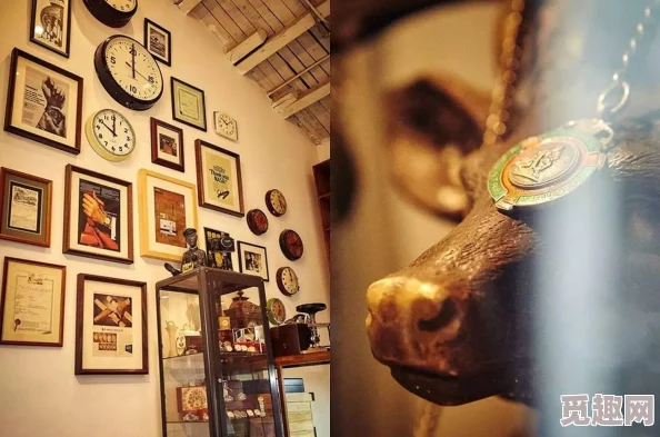 2025年饥荒游戏新技巧：高效接取与投掷回旋镖方法指南